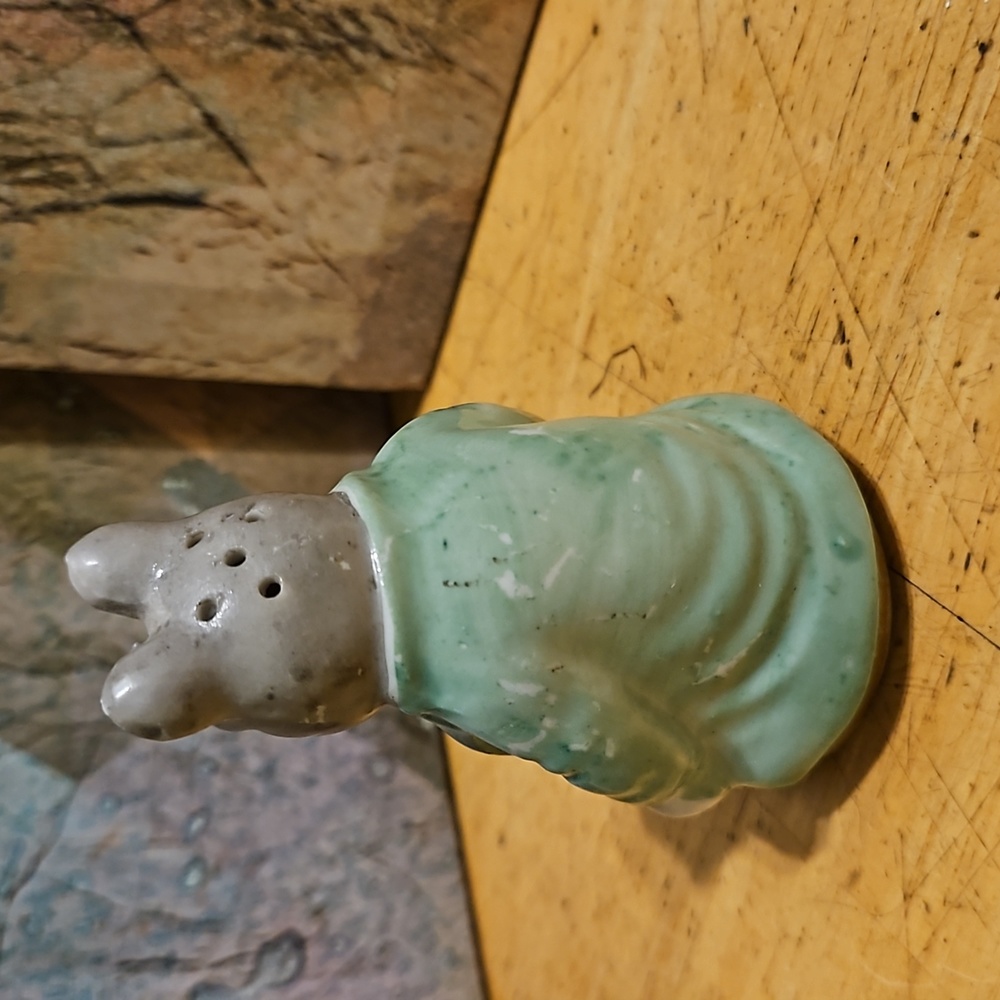 Royal Albert Beatrix Potter- Samuel Whiskers Salt and Pepper Shakers - Picture 7 of 8